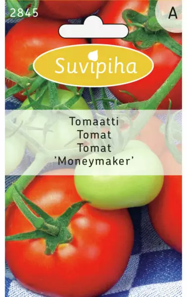 TOMAATTI 3 MONEYMAKER - Vihannes, juures & yrttien siemenet - 8711117284505 - 1