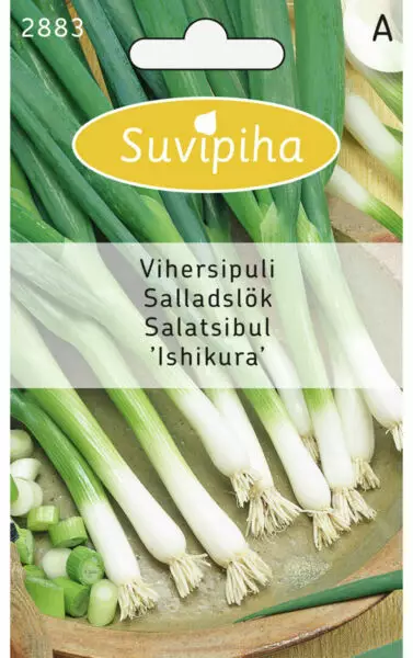 VIHERSIPULI 2 (SALAATTISIPULI) - Vihannes, juures & yrttien siemenet - 8711117288305 - 1