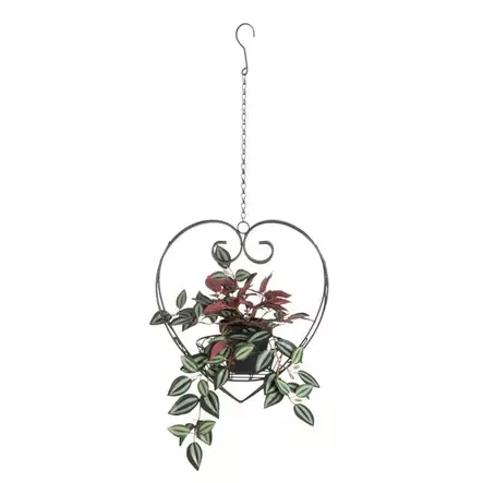 Amppeli sydän musta - Tekokasvit ja muovikukat - 6410416443546 - 2