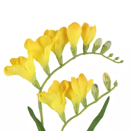 FREESIA Oksa keltainen - Tekokasvit ja muovikukat - 6410416318806 - 2