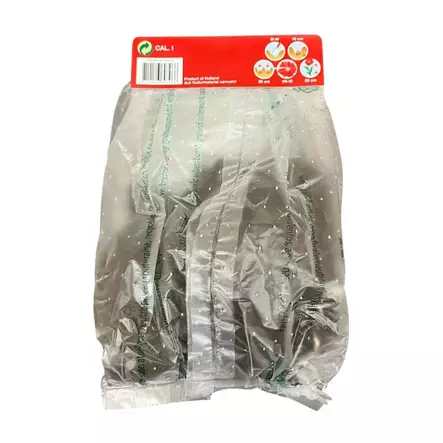 Punakeltainen kukkasipuli todella kesäinen takaa kuvattuna - Kukkasipulit ja istukkaat - 8710186693966 - 2