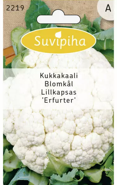 KUKKAKAALI 3 ERFURTER - Vihannes, juures & yrttien siemenet - 8711117221906 - 1