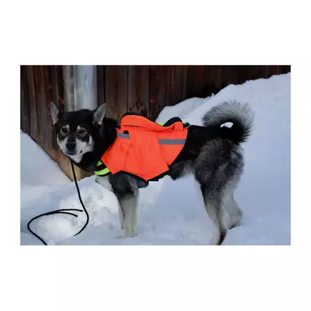 NordicDog Dina L GPS-turvaliivi - Metsästystarvikkeet - 6438014324746 - 1