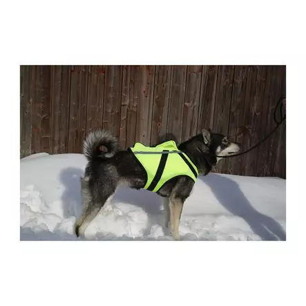 NordicDog Dina L GPS-turvaliivi - Metsästystarvikkeet - 6438014324746 - 2