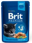 KISSANRUOKA BRIT PREMIUM CAT KANA 100G PENNUILLE - Kissanruoat ja herkut - 8595602506026 - 1