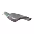 Kyyhky kuorikuva - Metsästystarvikkeet - 6410416217116 - 2