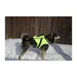 NordicDog Dina L GPS-turvaliivi - Metsästystarvikkeet - 6438014324746 - 2
