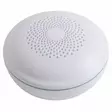 Airam Smarthome tuoteperheen wifi verkkoon liitettävä vuotoilmaisin. - Vesivuotohälyttimet - 6435200281296 - 1