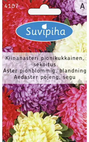 PIONIKUKKAINEN 3 ASTERI - Kukkasiemenet - 8711117410706 - 1