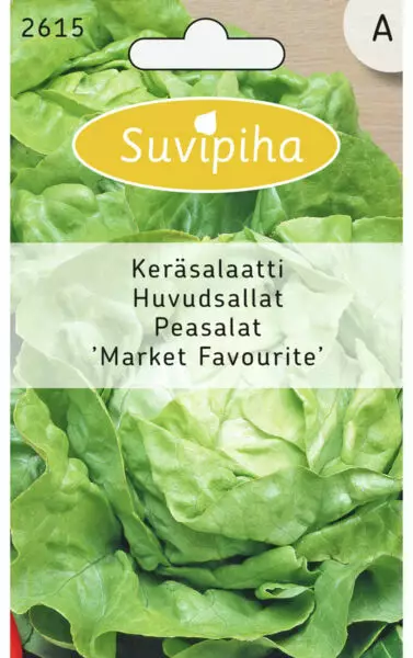 KERÄSALAATTI 1 - Vihannes, juures & yrttien siemenet - 8711117261506 - 1