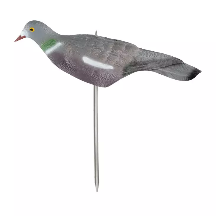 Kyyhky kuorikuva - Metsästystarvikkeet - 6410416217116 - 1