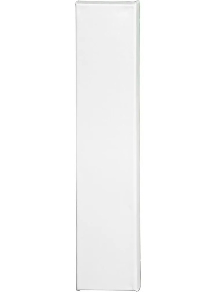 canvas 50x100cm - Taiteilijatarvikkeet - 6438159302876 - 1