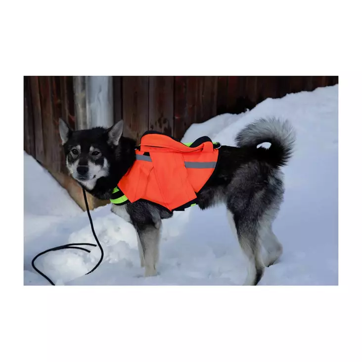 NordicDog Dina L GPS-turvaliivi - Metsästystarvikkeet - 6438014324746 - 1