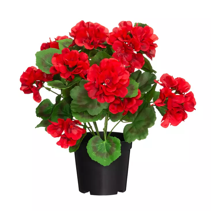 Pelargonia ruukussa punainen - Tekokasvit ja muovikukat - 6410416529806 - 1