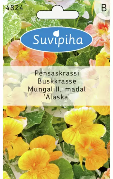 PENSASKRASSI 1 - Kukkasiemenet - 8711117482406 - 1