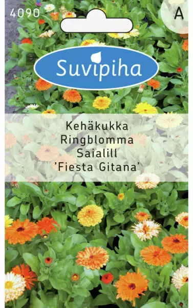 KEHÄKUKKA 1 MATALA - Kukkasiemenet - 8711117409007 - 1