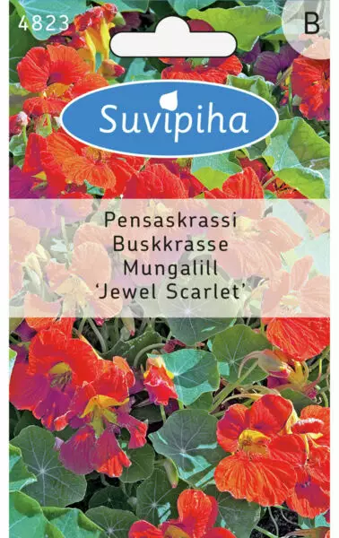 PENSASKRASSI 1 TROPAEOLUM - Kukkasiemenet - 8711117482307 - 1