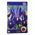 Iiris kukkasipuli 10 kpl Iris Hollandica Blue - Kukkasipulit ja istukkaat - 8710186671247 - 2