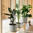 Orthex Pauliina 14cm harmaa - Sisäruukut ja suojaruukut - 6411764807677 - 2