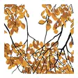 Vallila lautasliina Lehtisade Okra 24cm - Kahviliinat 24x24 - 7321011992447 - 1