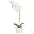 Perhoskämmekkä ruukussa valkoinen 49 cm - Tekokasvit ja muovikukat - 6410416436487 - 1
