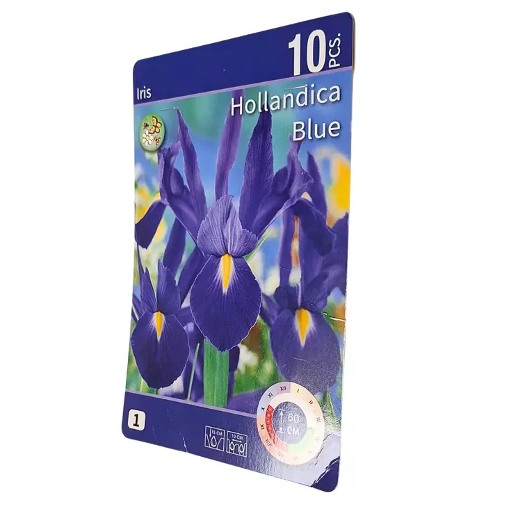 Iiris kukkasipuli 10 kpl Iris Hollandica Blue - Kukkasipulit ja istukkaat - 8710186671247 - 1