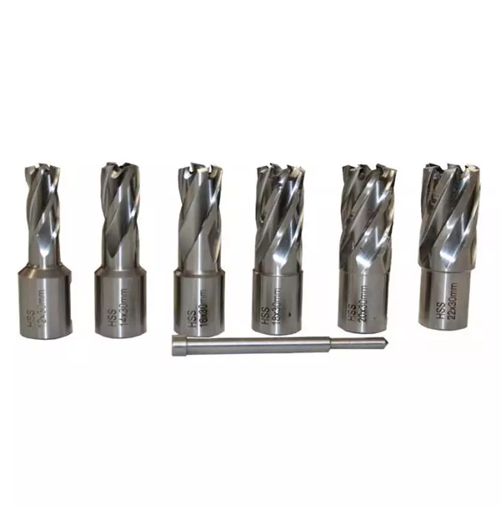 MAGNEETTIPORAN TERÄSARJA WELDON 6-OSAINEN MR-TUOTE - Sähköpylväsporakoneet - 6430032159607 - 1