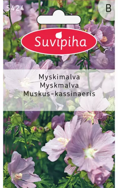 MYSKIMALVA 2 RUUSUNPUNAINEN - Kukkasiemenet - 8711117542407 - 1