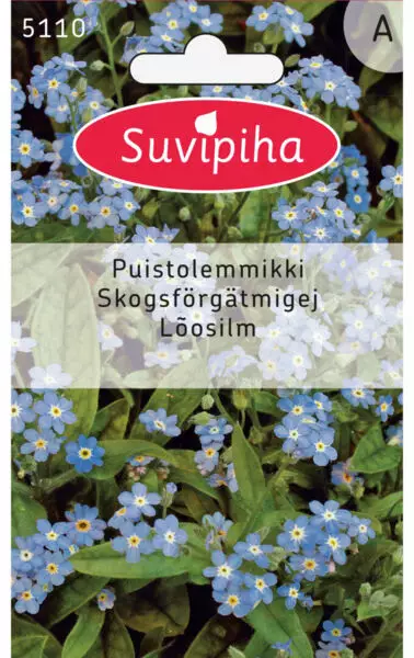 PUISTOLEMMIKKI 2 SININEN - Kukkasiemenet - 8711117511007 - 1
