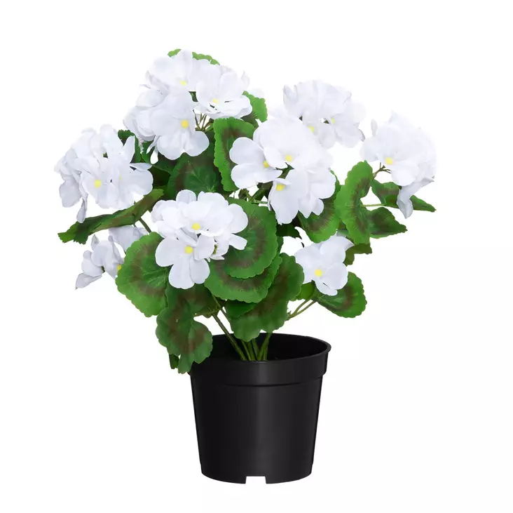 Pelargonia ruukussa valkoinen - Tekokasvit ja muovikukat - 6410416529837 - 1