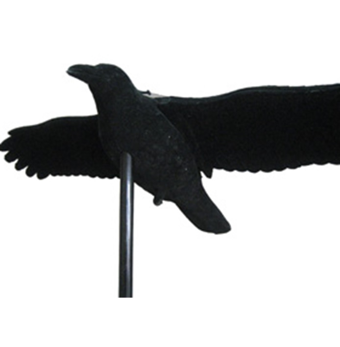 pelotuslintu koppi pelotinkorppi - Linnunpelättimet - 6438159067737 - 1