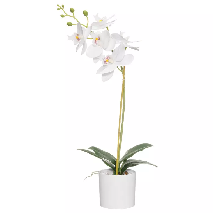 Perhoskämmekkä ruukussa valkoinen 49 cm - Tekokasvit ja muovikukat - 6410416436487 - 1