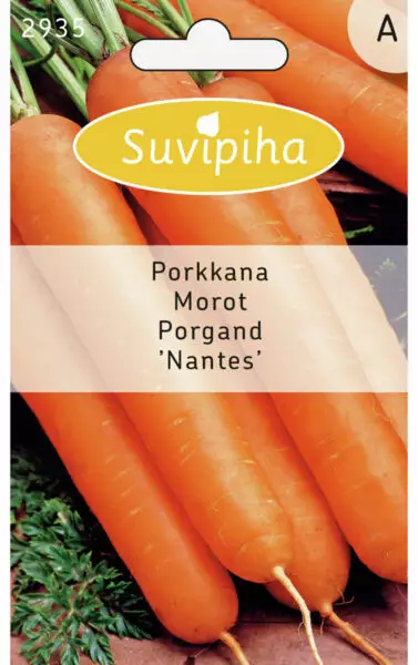 PORKKANAN 1 SIEMEN - Vihannes, juures & yrttien siemenet - 8711117293507 - 1