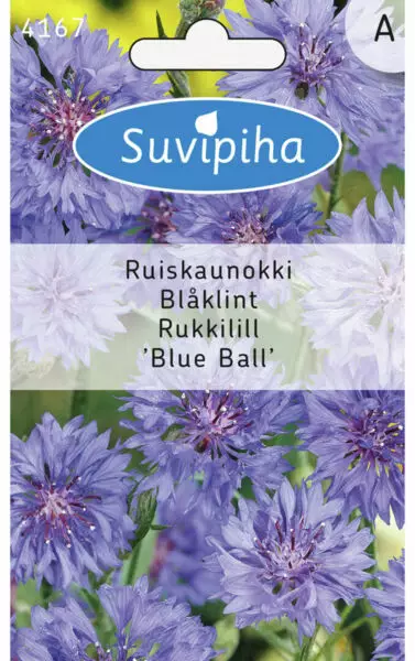 RUISKAUNOKKI 1 SININEN - Kukkasiemenet - 8711117416708 - 1