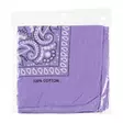 Acces Jenkkihuivi liila - Huivit - 6410416352398 - 2