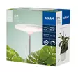 Kasvivalo Airam Ivy 14w/835 650lm - Kasvivalaisimet - 6435200292728 - 7