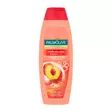 SHAMPOO&HOITO PALMOLIVE 350ML - Shampoot - 8718951577008 - 1