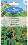 RUUSUPAPU 2 PUNAINEN - Vihannes, juures & yrttien siemenet - 8711117300618 - 1
