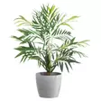 Ruukku Magnolia betoni 30cm - Tekokasvit ja muovikukat - 6410416443218 - 2