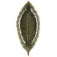 Tarha lautanen 23x10cm Maku - Keittiötyövälineet - 6410416520858 - 1