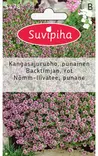 KANGASAJURUOHO 1 THYMUS SERPYLLUM - Kukkasiemenet - 8711117547808 - 1