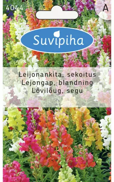 LEIJONANKITA 2 PUOLIKORK - Kukkasiemenet - 8711117404408 - 1