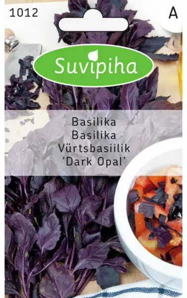 BASILIKA 1 DARK OPAL - Vihannes, juures & yrttien siemenet - 8711117101208 - 1