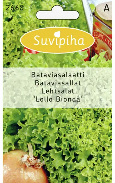 BATAVIASALAATTI 1 LOLLO BIONDA - Vihannes, juures & yrttien siemenet - 8711117266808 - 1