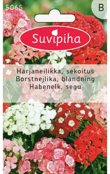 HARJANEILIKKA 2 SEK.YKSINK. - Kukkasiemenet - 8711117506508 - 1