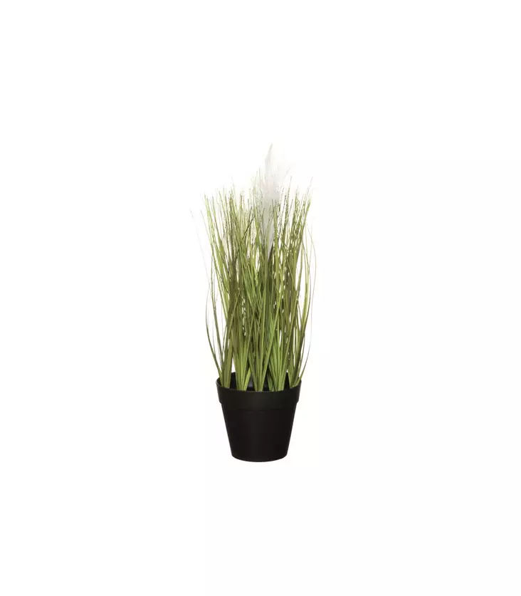 HEINÄ RUUKUSSA 36 CM 4Living - Tekokasvit ja muovikukat - 6410416030678 - 1