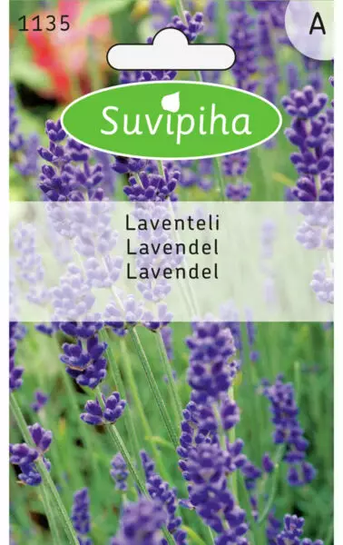 LAVENTELI 2 - Vihannes, juures & yrttien siemenet - 8711117113508 - 1