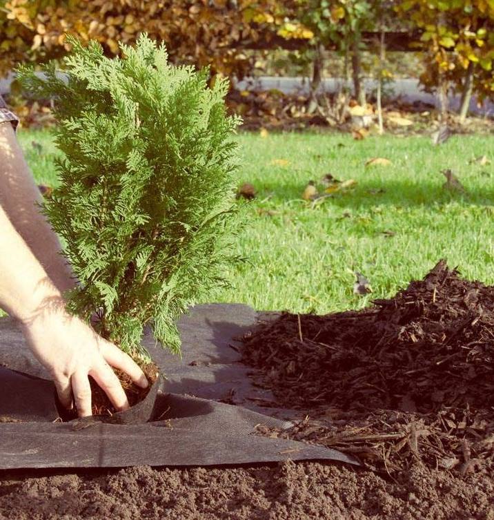 MAISEMOINTIKANGAS 1x10M 10m2 - Suodatinkankaat ja juurimatot - 6438168093338 - 1