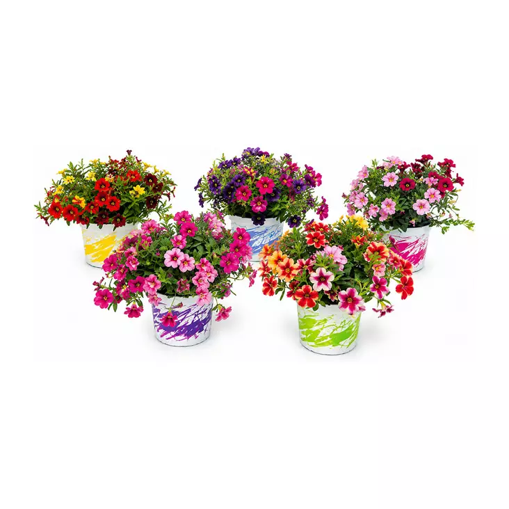 MILJOONAKELLO TRIO 12CM - Kukat ja kasvit - 821278 - 1
