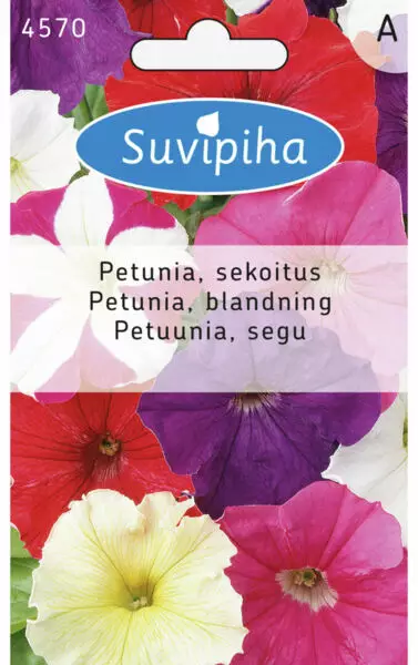 PETUNIA 3 HYBRIDA - Kukkasiemenet - 8711117457008 - 1